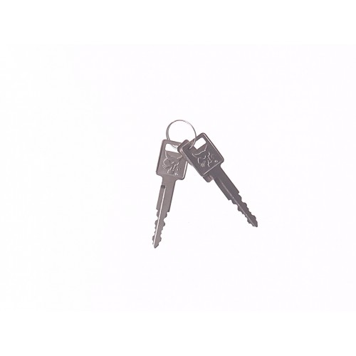 Ignition Key - 7006802